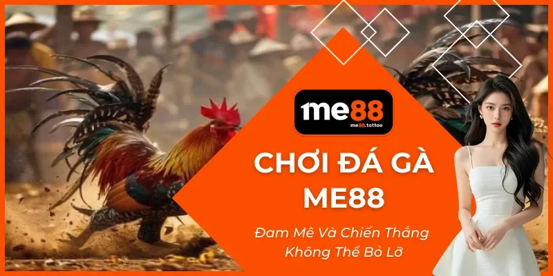 Chơi Đá Gà Me88